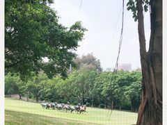 -广州雕塑公园