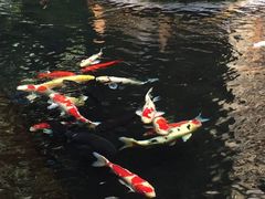 -顺景温泉