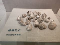 -柳州菜饮食文化博物馆