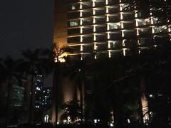 -中山大学学者灵芝(园南路店)