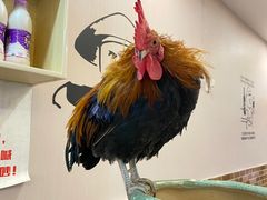 -重庆何乌鱼(南湖逸家店)