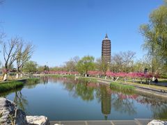 -西海子公园