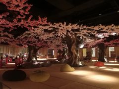 -蓝鲸湾汤泉(包河店)