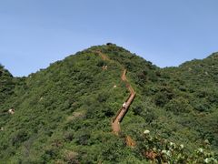 -大岭沟猕猴桃谷风景区