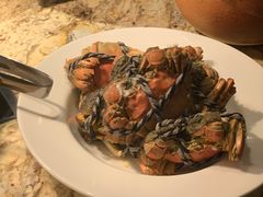 -嘉定凯悦·咖啡厅