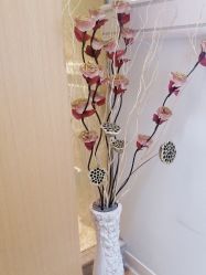 -天津伊美尔医疗整形美容专科医院