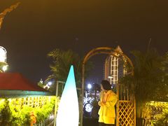 -纳兰傣雀傣味餐厅