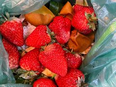 -西郊国际农产品交易中心