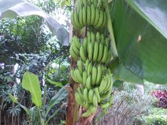 -三亚海棠湾万丽度假酒店