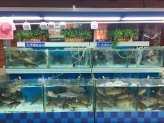 店内环境-美廉美多点(新龙店)