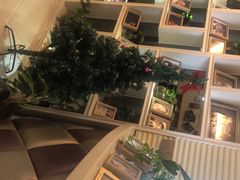 -猫头鹰照相馆(福田店)