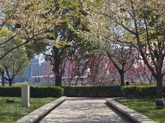 -北外滩滨江绿地