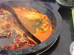 -重庆川渝肥妹火锅