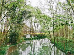 -桤木河湿地公园