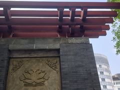 -莲花池公园