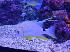 -成都浩海立方海洋公园