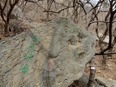 -北京鹫峰国家森林公园