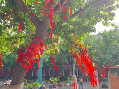 -西安青龙寺遗址景区