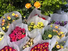 -三旗百汇商品城