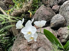 -南通洲际绿博园