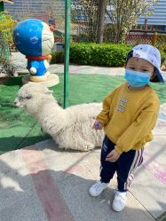 -萌宠亲子动物乐园(槐房万达店)