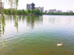 -迎泽公园