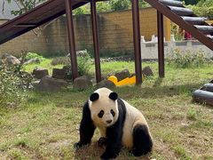 -杭州野生动物世界