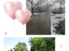 -白水寺森林公园