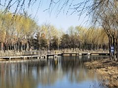 -中关村生命科学园