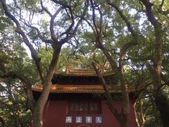 -普陀山风景名胜区-法雨禅寺