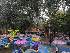 -西安市长乐公园