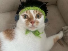 -拜鲁耶动物诊疗中心·宠家动物医院