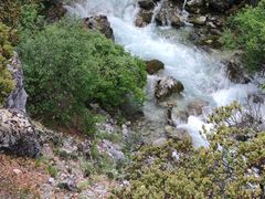 -稻城亚丁景区-冲古草甸