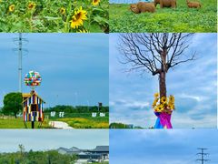 -杭州湾海上花田景区