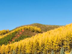 -塞罕坝国家级自然保护区