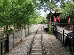 -西青郊野公园