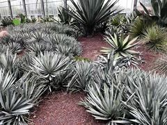 -南通洲际绿博园