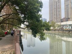 -成都市活水公园