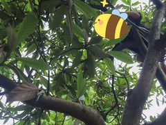 -塘栖枇杷特色园区