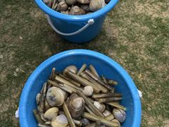 -刘家湾赶海园