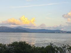 -深圳湾公园(南山区)