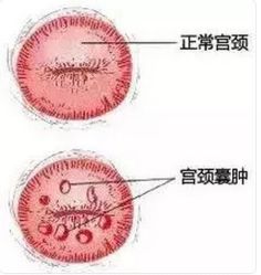 -邢台妇产医院