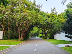 -深圳国际园林花卉博览园