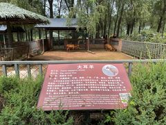 -沈阳森林动物园