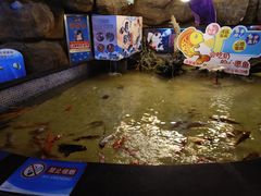 -烟台海昌鲸鲨海洋公园