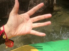 -增城大丰门漂流