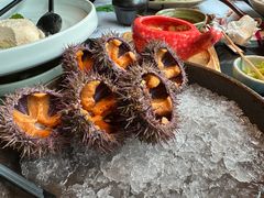 -花潮料理艺食馆(成都万象城店)