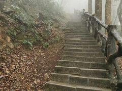 -梧桐山风景名胜区