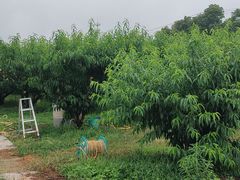 -卯时·龙光雅宴·精致锡帮菜(惠山古镇店)