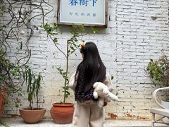 -春树下·树屋花房西餐厅(罍街AS1980店)